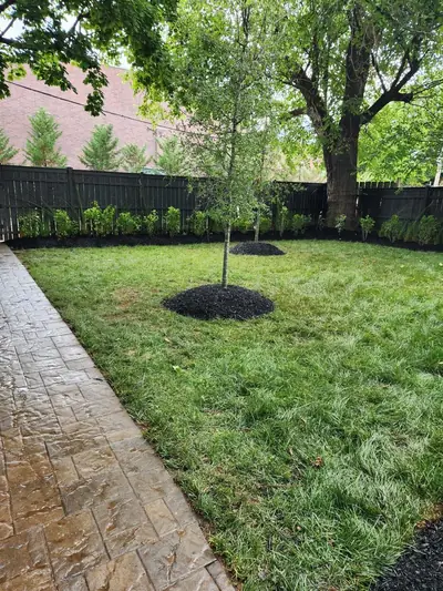 Landscaping project photo 2
